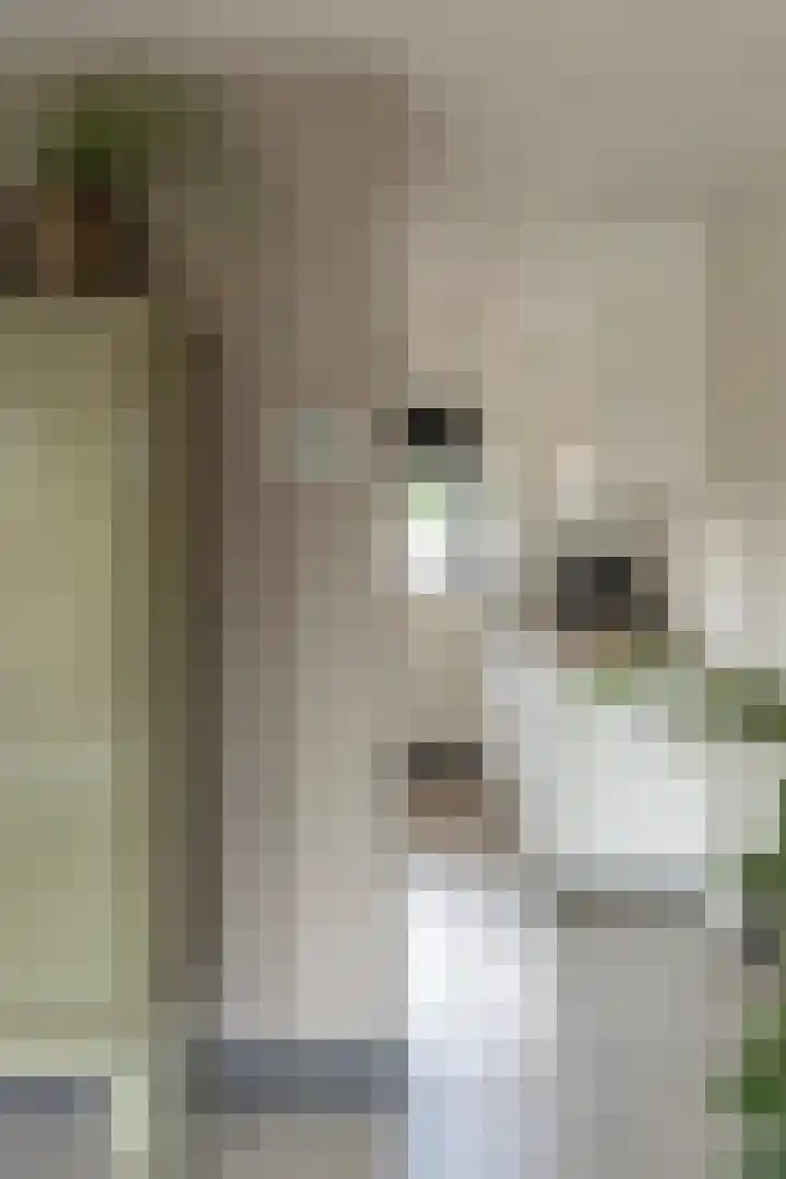 Indusstraat 30 Spijkenisse thumbnail 7