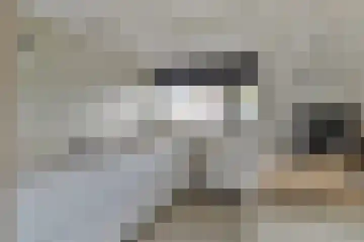 Indusstraat 30 Spijkenisse thumbnail 8