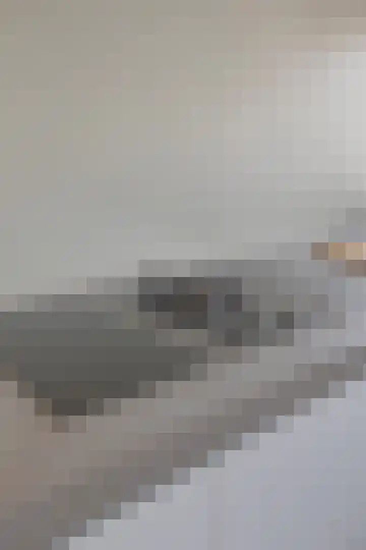 Indusstraat 30 Spijkenisse thumbnail 9