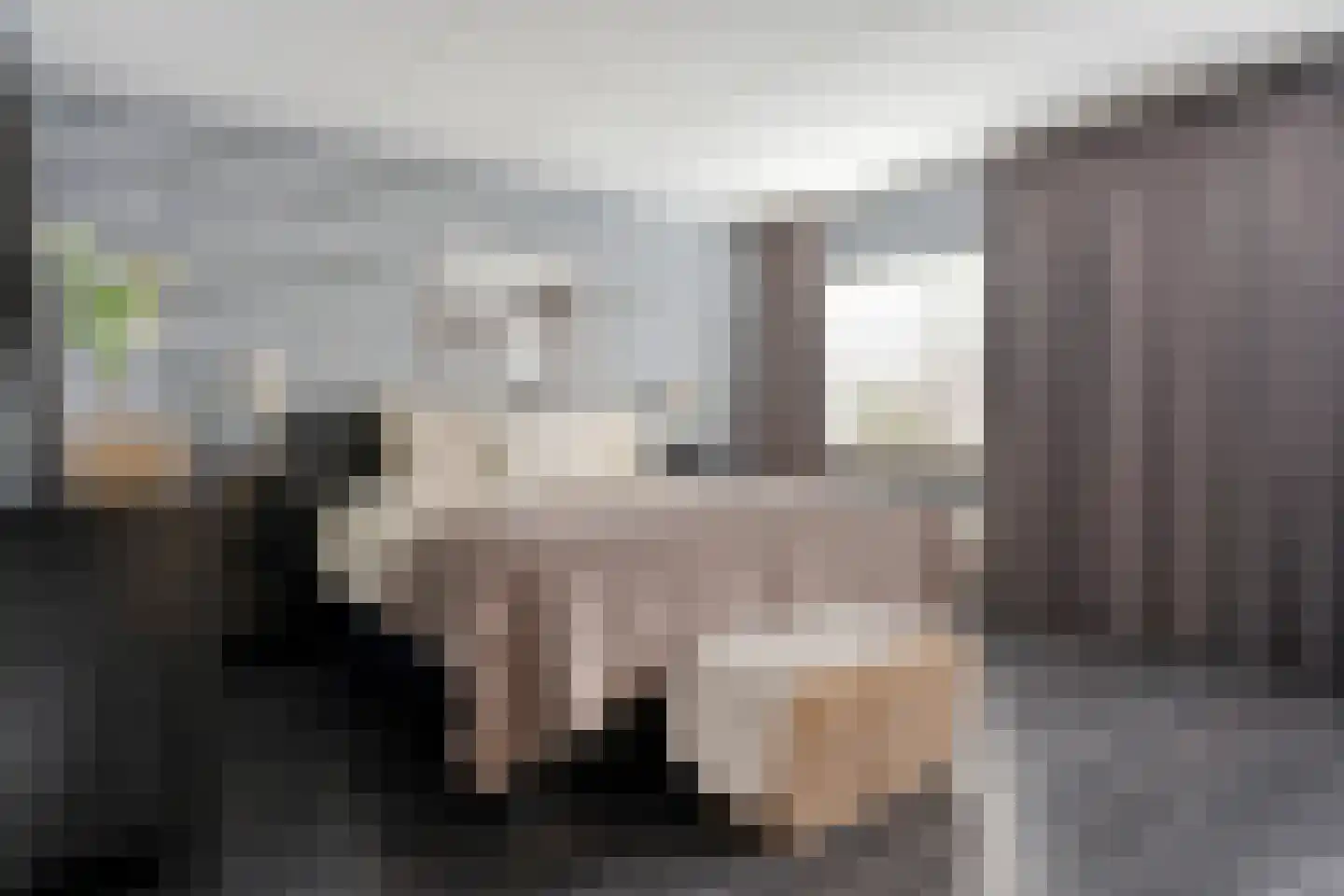 Indusstraat 66 Spijkenisse thumbnail 13