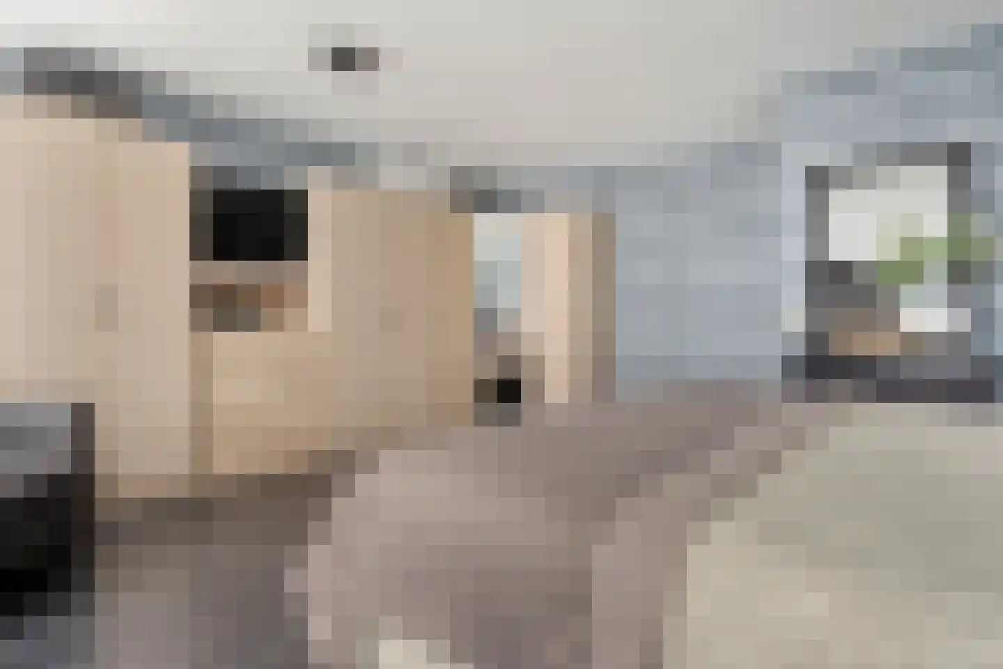 Indusstraat 66 Spijkenisse thumbnail 15