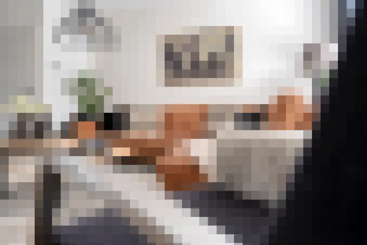 Indusstraat 66 Spijkenisse thumbnail 4