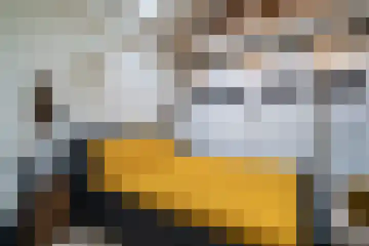 Industrielaan 13 Scherpenzeel thumbnail 15