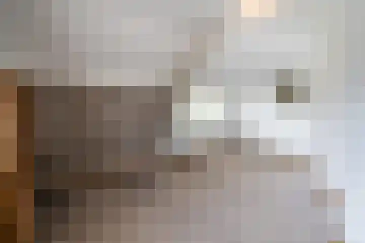 Industrielaan 13 Scherpenzeel thumbnail 24