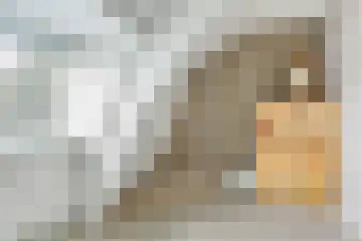 Industrielaan 13 Scherpenzeel thumbnail 28
