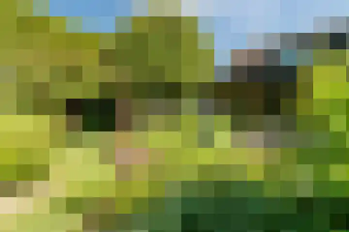 Industrielaan 13 Scherpenzeel thumbnail 37