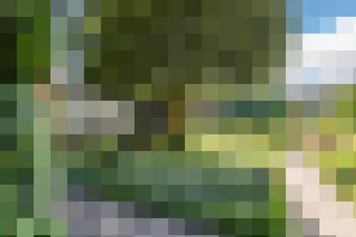 Industrielaan 13 Scherpenzeel thumbnail 38