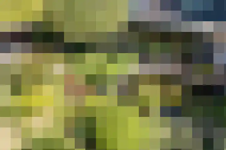 Industrielaan 13 Scherpenzeel thumbnail 4