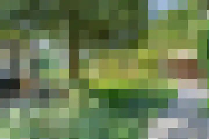 Industrielaan 13 Scherpenzeel thumbnail 40