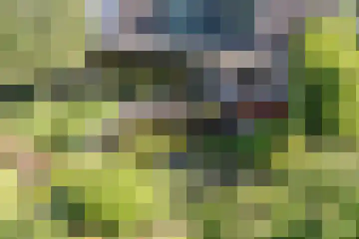 Industrielaan 13 Scherpenzeel thumbnail 43