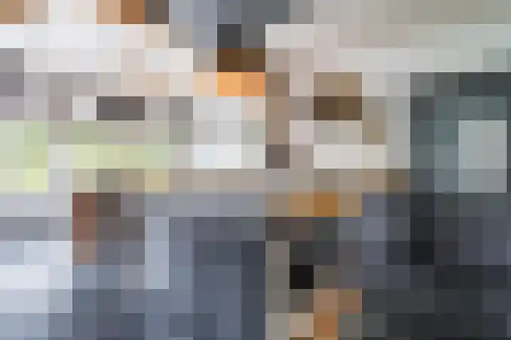 Industrielaan 13 Scherpenzeel thumbnail 6