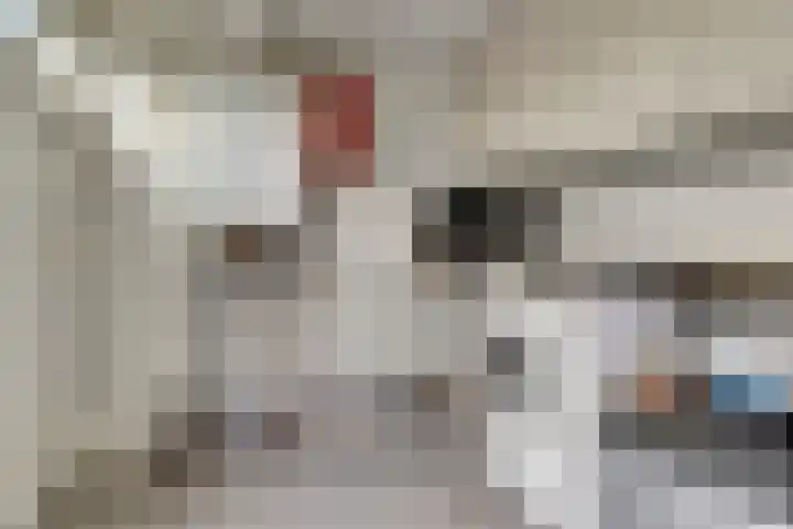 Industrielaan 21 Dieren thumbnail 10