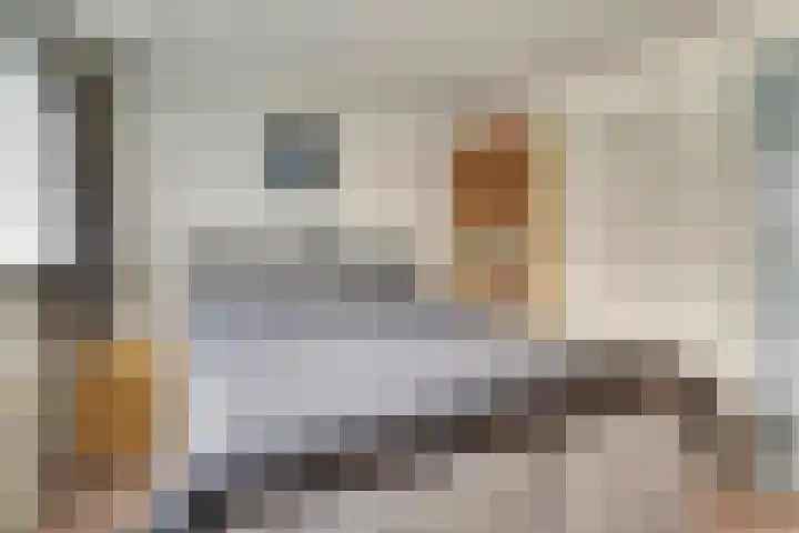Industrielaan 21 Dieren thumbnail 14