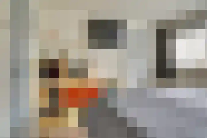 Industrielaan 21 Dieren thumbnail 15