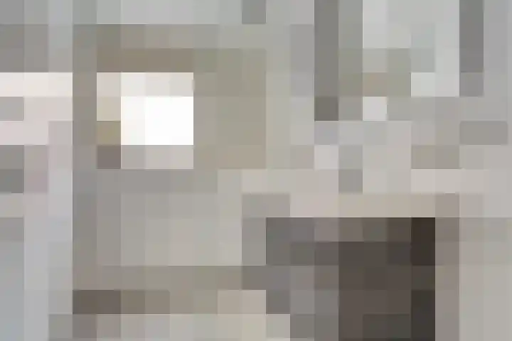 Industrielaan 21 Dieren thumbnail 18