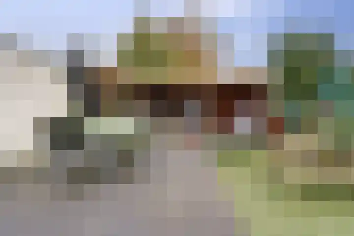 Industrielaan 21 Dieren thumbnail 25