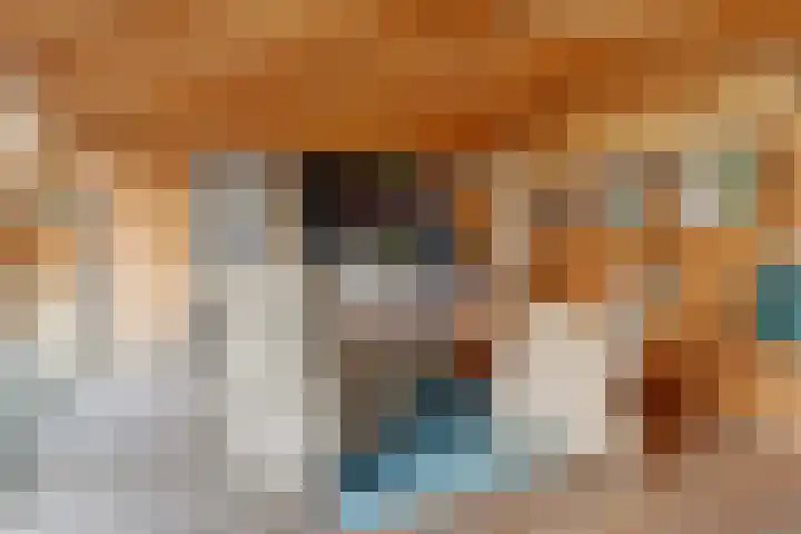 Industrielaan 21 Dieren thumbnail 26