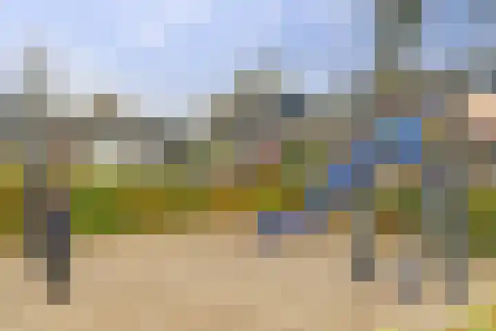 Industrielaan 21 Dieren thumbnail 30