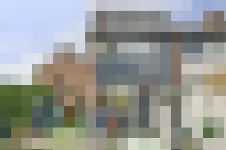 Industrielaan 21 Dieren thumbnail 4