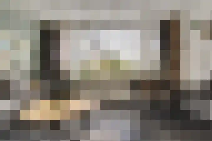 Industrielaan 21 Dieren thumbnail 5