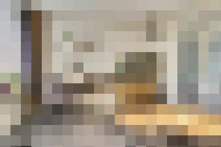 Industrielaan 21 Dieren thumbnail 6