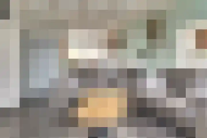 Industrielaan 21 Dieren thumbnail 7