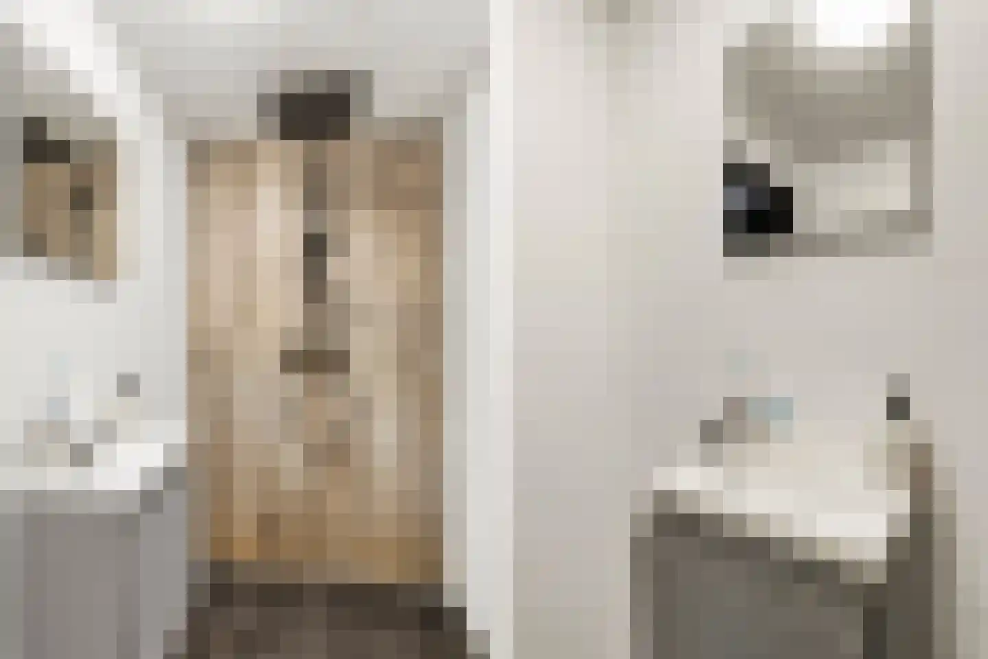 Industrielaan 25 Dieren thumbnail 20