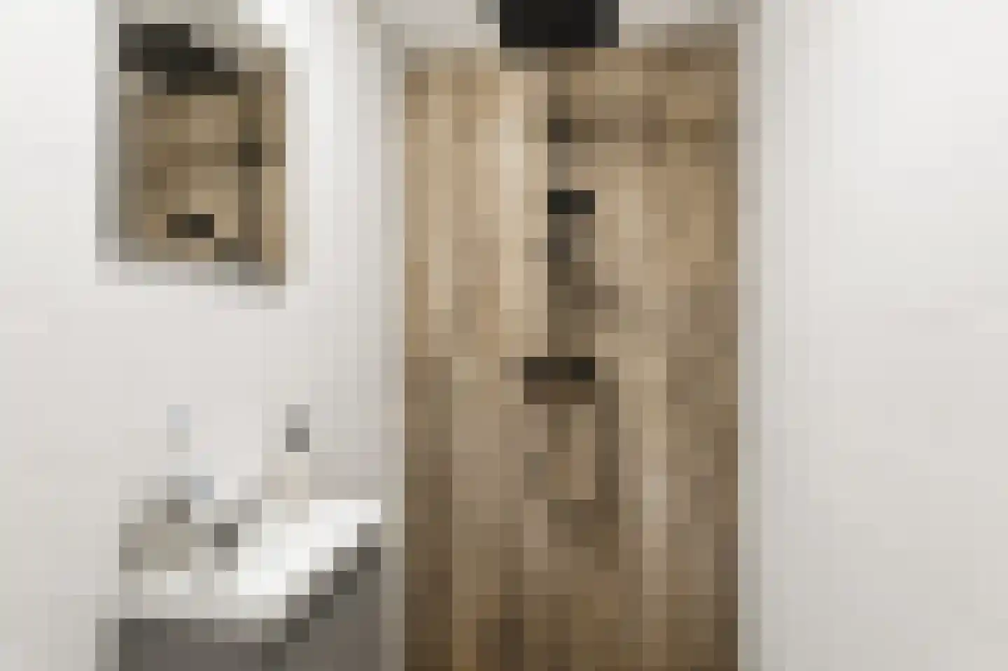 Industrielaan 25 Dieren thumbnail 21
