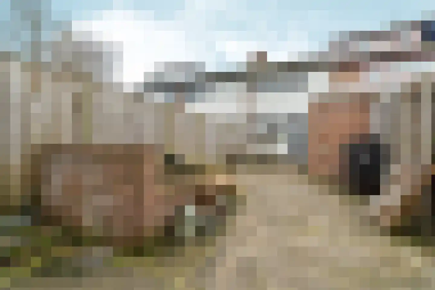 Industrielaan 25 Dieren thumbnail 24