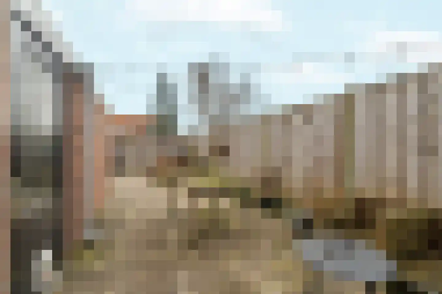Industrielaan 25 Dieren thumbnail 25