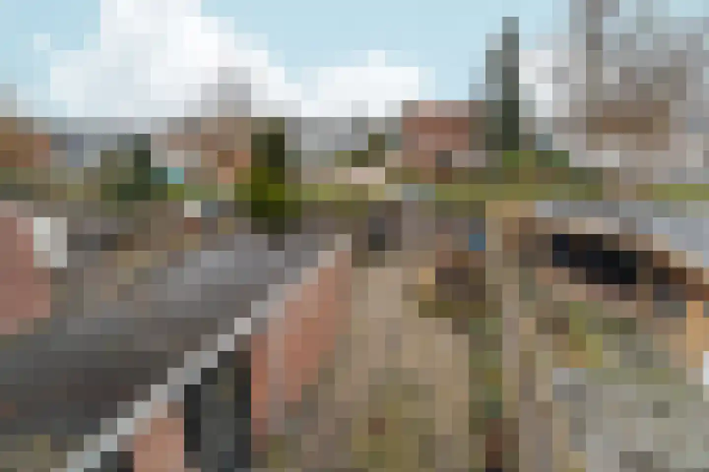 Industrielaan 25 Dieren thumbnail 28