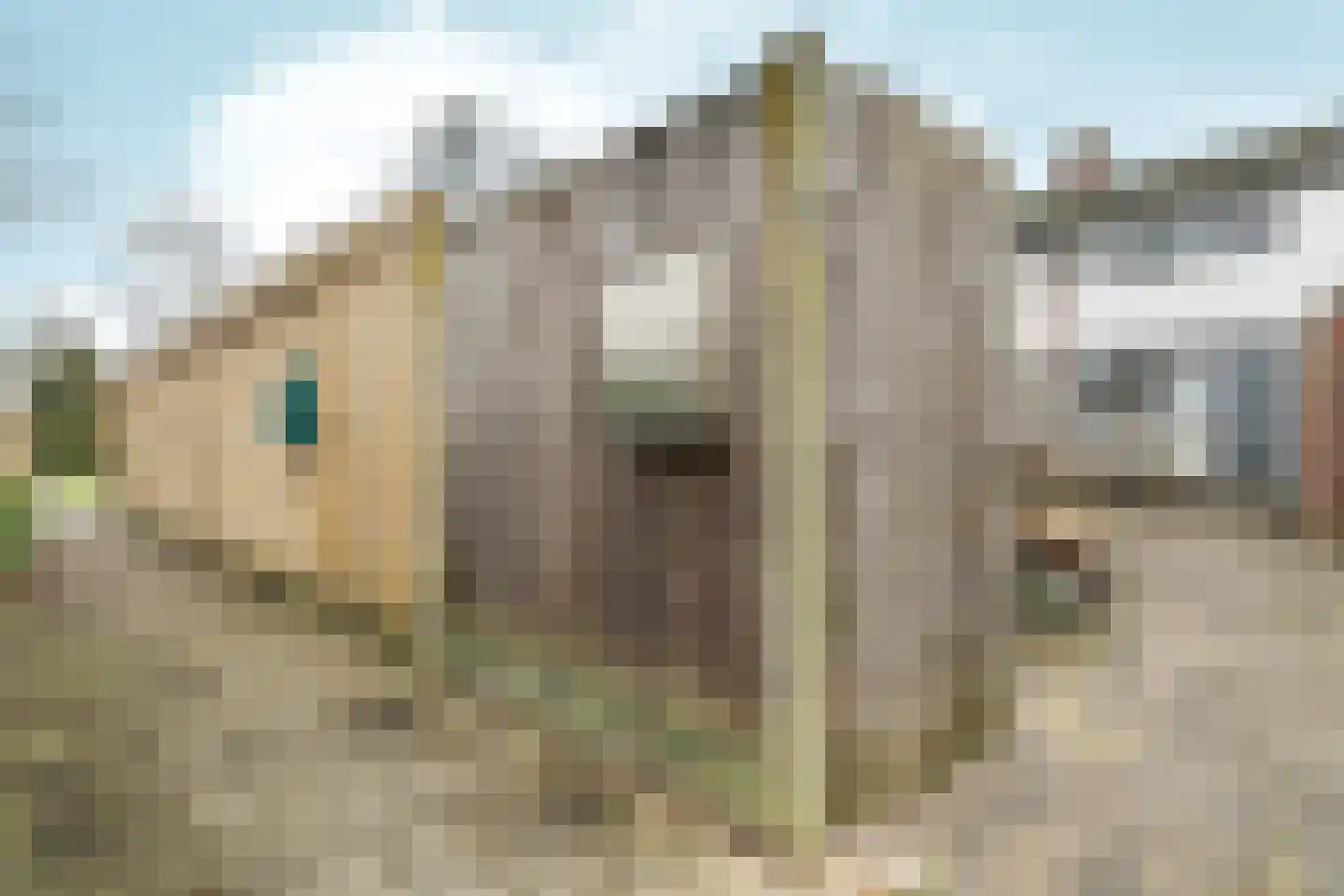 Industrielaan 25 Dieren thumbnail 29
