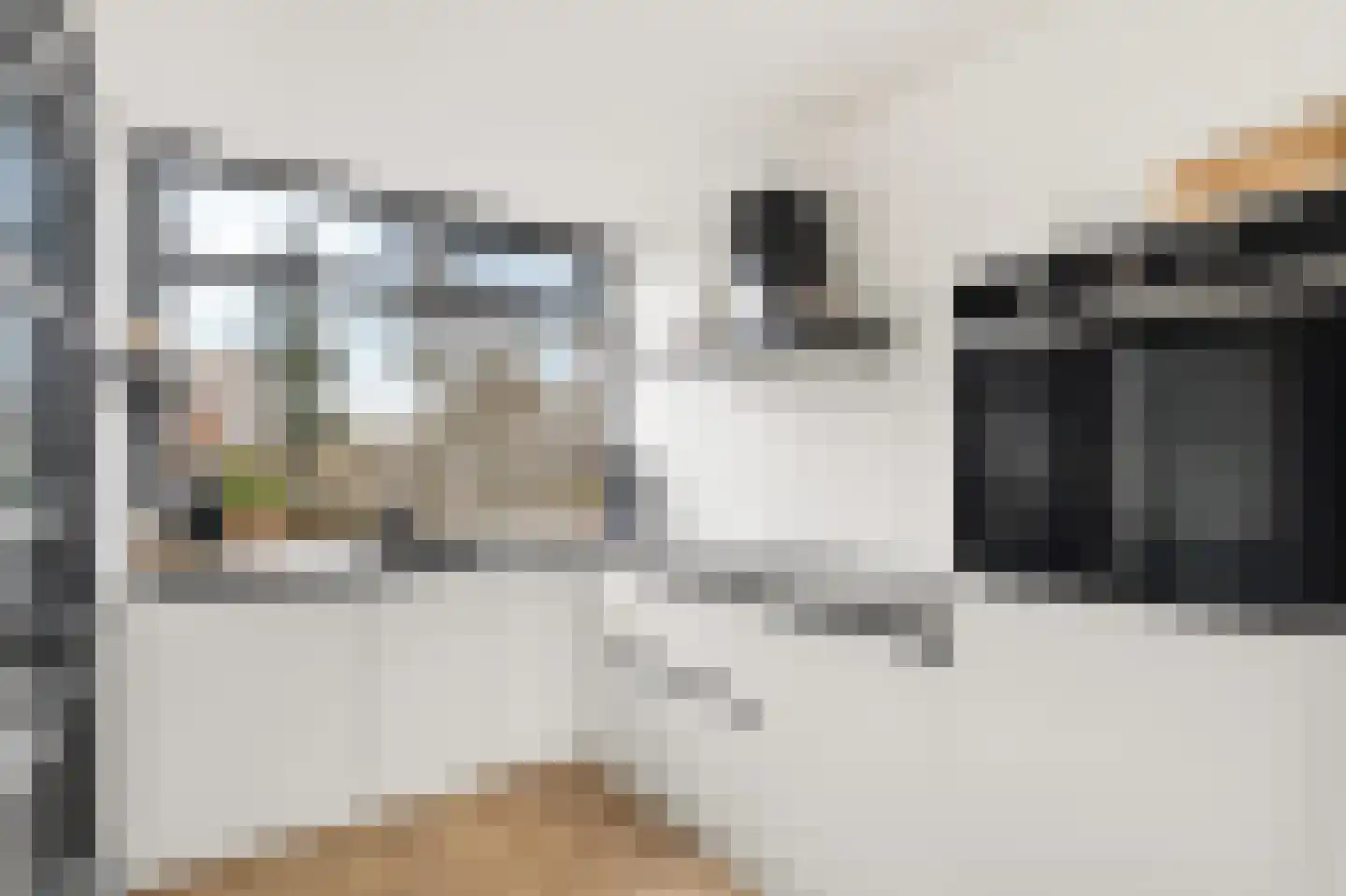 Industrielaan 25 Dieren thumbnail 9