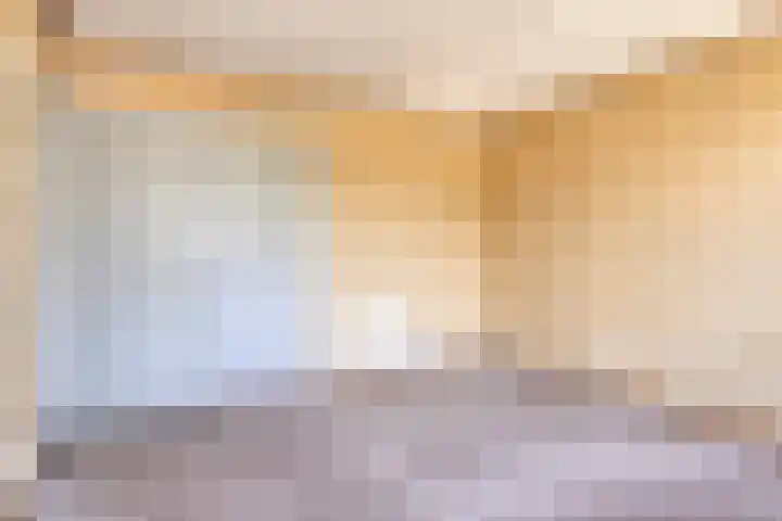 Industrielaan 8 Scherpenzeel thumbnail 12