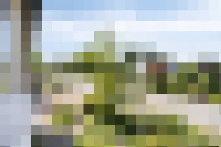 Industrielaan 8 Scherpenzeel thumbnail 21