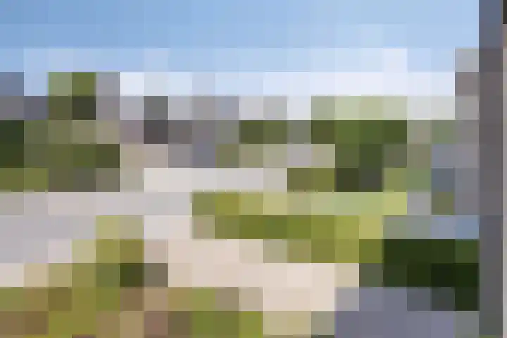 Industrielaan 8 Scherpenzeel thumbnail 22
