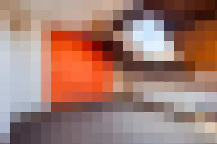 Industrielaan 8 Scherpenzeel thumbnail 28
