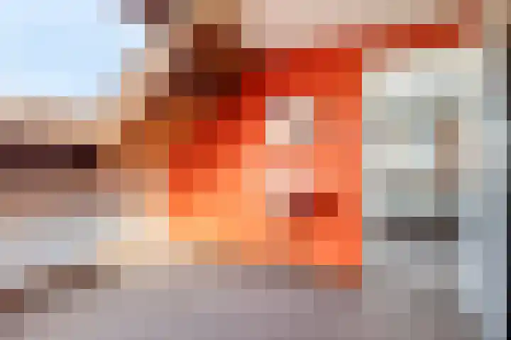 Industrielaan 8 Scherpenzeel thumbnail 29