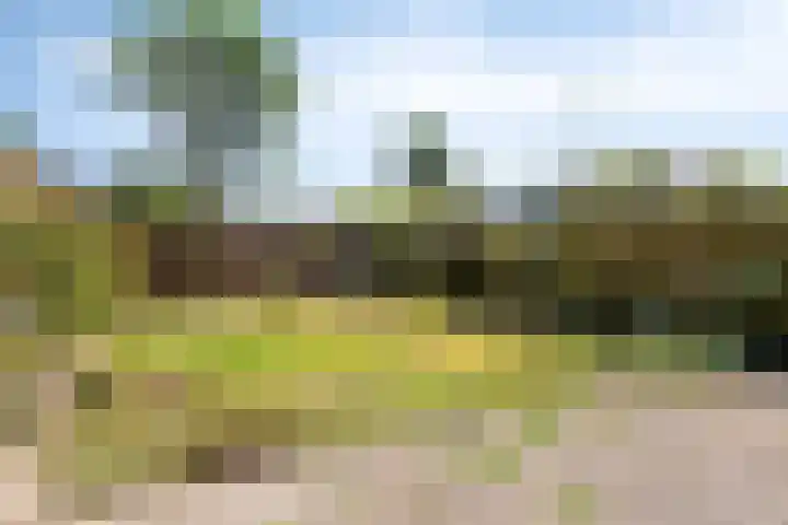 Industrielaan 8 Scherpenzeel thumbnail 32