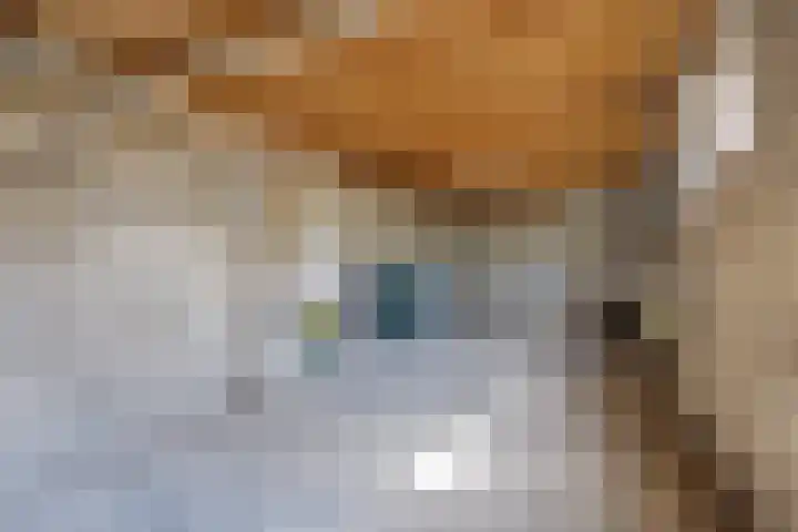 Industrielaan 8 Scherpenzeel thumbnail 35