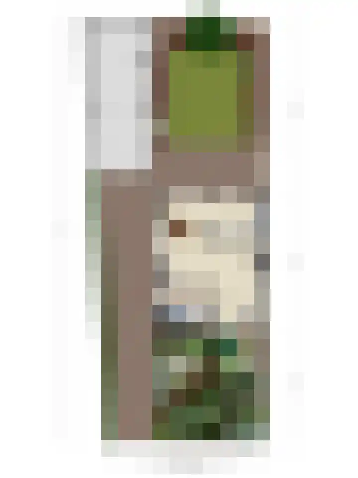 Industrielaan 8 Scherpenzeel thumbnail 38