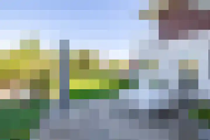 Industriestraat 1 A Tegelen thumbnail 31