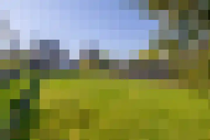 Industriestraat 1 A Tegelen thumbnail 33