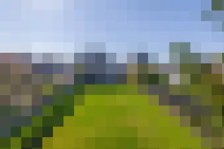 Industriestraat 1 A Tegelen thumbnail 34