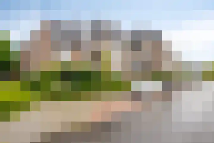 Industriestraat 112 Tegelen thumbnail 25