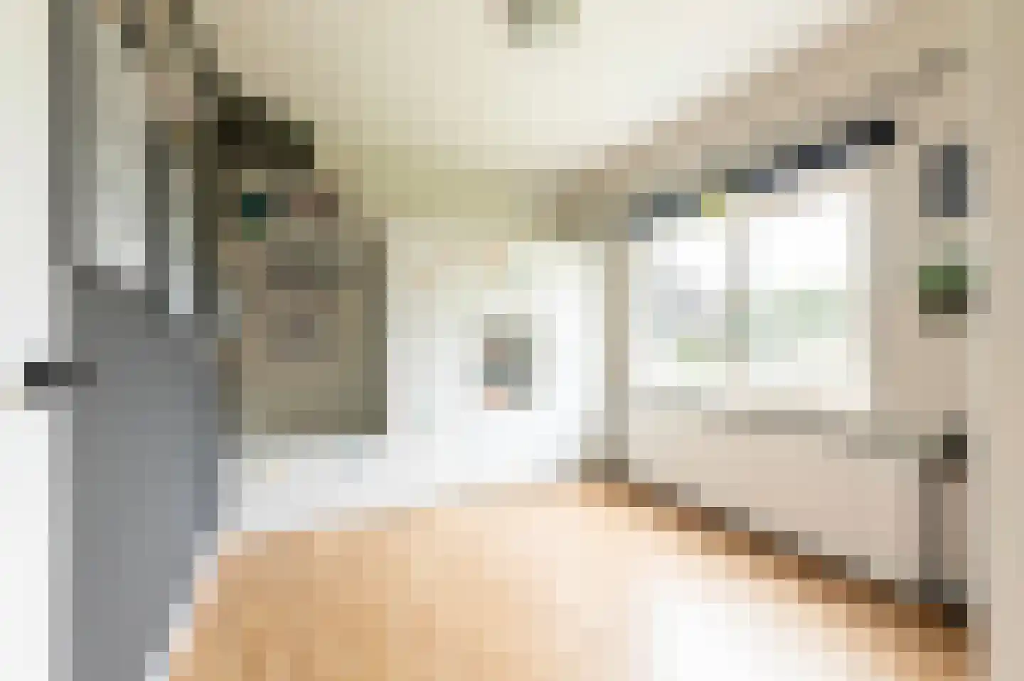Industriestraat 14 Wamel thumbnail 33