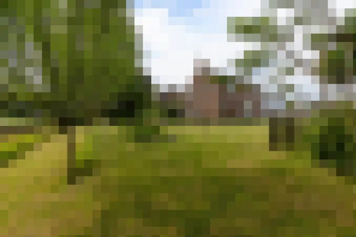Industriestraat 14 Wamel thumbnail 70