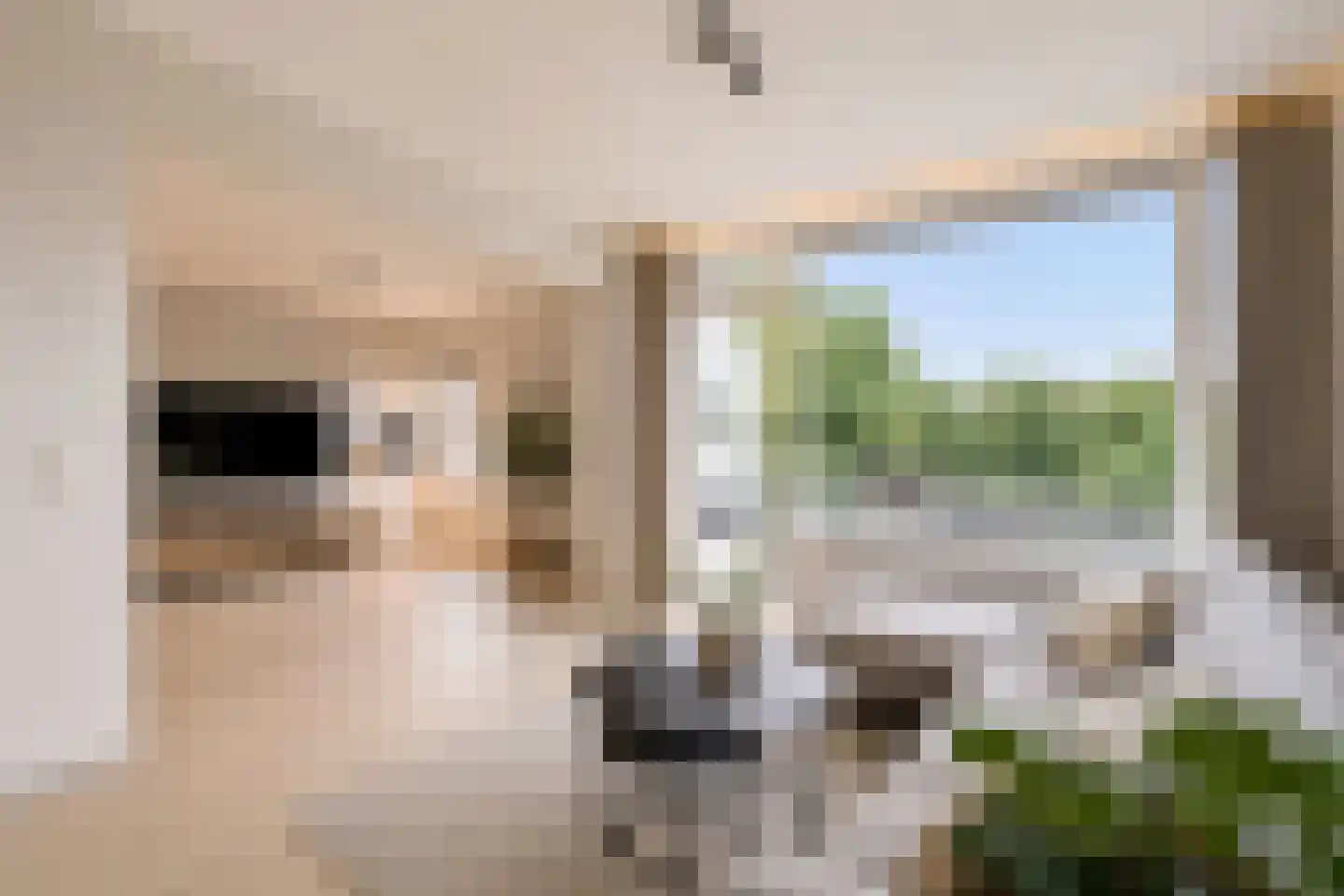 Industriestraat 146 Tegelen thumbnail 10