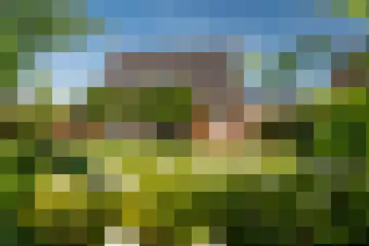 Industriestraat 2 A Belfeld thumbnail 30