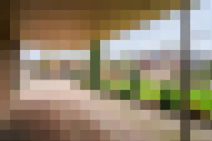 Industriestraat 2 Reuver thumbnail 17